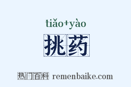 挑药是什么意思的图片